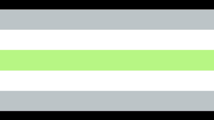Identity flag design for Agender