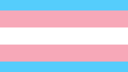 Identity flag design for Transgender