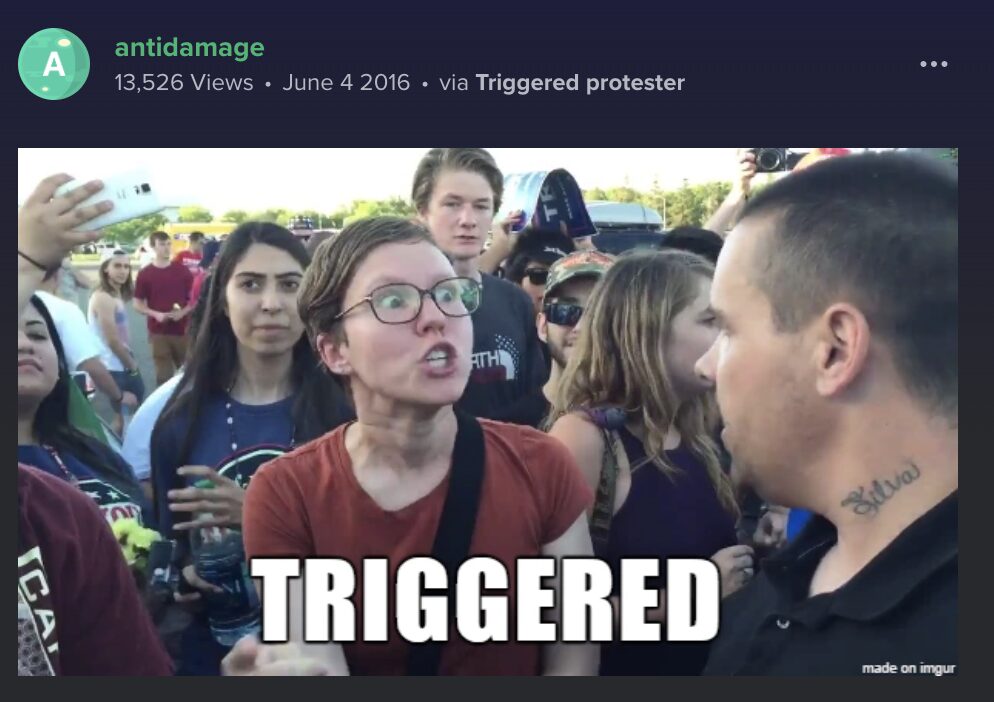A screenshot of a post made by user antidamage on June 4, 2026. They posted an image of a protestor with a serious expression in mid-speech and the text across the bottom reads triggered.